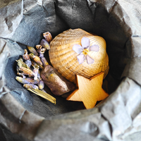 Geöffnete MEMENTOVIA-Box "Ewige Spuren" mit Vergissmeinnicht, Tanne, Stern, Muschel und Amethyst in schwarzem Seidenpapier – symbolische Beigaben für ewige Erinnerung, Schutz und emotionale Heilung.